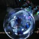 메이플(생활형) 이미지