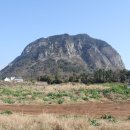 신례2리(공천포) 1 이미지