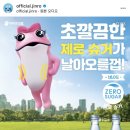 슈거유흥