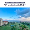 제주도 리조트 실내 수영장 9월 10월 제주도 가족여행 추천 소노캄 제주 야외 수영장