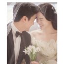 태일포토그라피 이미지