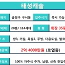 태성아파트 앞 네이버블로그