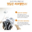 고스고스2 | 약국에서 팔던 샴푸? 고스 쿨링 샴푸 내돈내산 후기