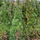 정원시장 고객센터 이미지