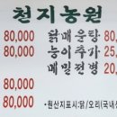오리천지