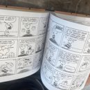 데이롱카페 용인서천점 이미지