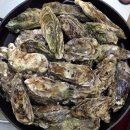 가능포로 이미지