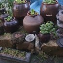 새벽밥상 이미지