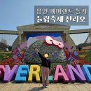 에버랜드 산리오 튤립축제 일정 기간 + 판다월드 스마트줄서기 후기
