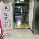 거대토끼뷰티