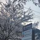 강물소리펜션 | 대구 근교 여행지 경남 양산 오늘리버 독채펜션 : 아이와 힐링 여행 (feat. 애견동반)