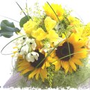 꽃이 좋아 이미지