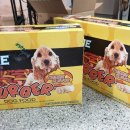 안충기 애견스쿨 이미지