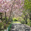 만수노인복지원 이미지