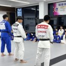 한양대 유도 이미지