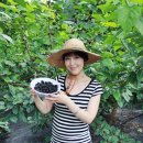 원창농장 이미지