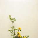 동양 꽃꽂이 이미지