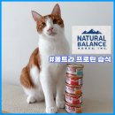 설이네 펫푸드 | 성분 좋은 고양이 습식 추천 | 내추럴발란스 울트라 프로틴 파테 캣 레시피
