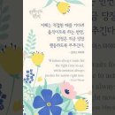 오늘의 '신앙 명언'(324강) 조이스 마이어(Joyce Meyer) 이미지