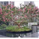 하나원베일리공인중개사사무소 이미지