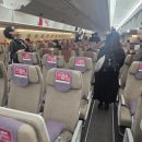 인천에서 시드니공항 아시아나항공 OZ601 A350 이용후기 검역심사