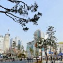 먹쇠촌 | [ 늦은기록 : 서울출장 ] 서울 중구 동대문 먹쇠촌 점심 가성비 맛집 추천 # 동대문역사문화공원맛집