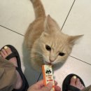 송파 마리동물병원 이미지