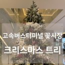 12/6 크리스마스 생화 트리 이미지