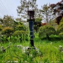 이일 장군 묘 이미지