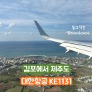 1131 | 대한항공 KE1131 후기 혼자떠나는 10월 제주 여행