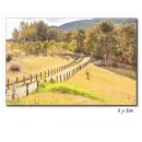 정선 로미지안 가든 풍경 이미지