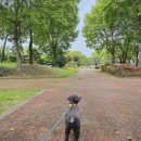 세븐일레븐전주병원점 이미지