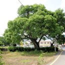 덕촌리