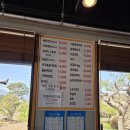 소나무정원 | 구례 맛집 소나무정원 산채백반 후기