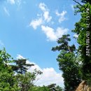 전곡 시가지 이미지