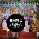 모양돌 이미지