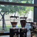 센텀커피(Centum Coffee) | 부산 센텀 카페 추천｜핸드드립 커피가 맛있는 빠흐 커피 오피스 후기 ☕️