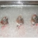 신포횟집 이미지