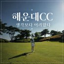 (주)게임에이지 | 부산 해운대CC 야간 라운딩 후기 🌙 3부 첫 티로 다녀온 5번째 필드