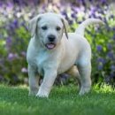 스포짐휘트니스 이미지