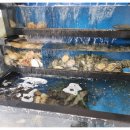 지구에서온아구해 이미지