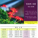 11.27 [밀양소식]사랑의 김장,찿아가는 독립운동사 교실,밀양문예 16집,밀양의 사찰사진전,밀양지역 차문화 사적 연구 이미지