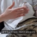 유성목장 이미지