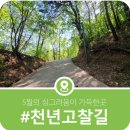 현등사고찰길 이미지