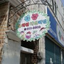 성광유치원 Daum카페