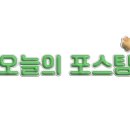 파티멜리시 이미지