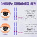 아벨리노 - 강남구 봉은사로2길 23 | 아벨리노