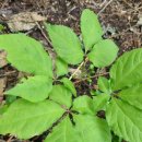 박선희농장 이미지