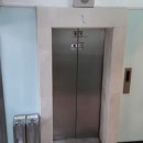 체육관로74번길 이미지