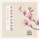부산 아이폰16 차비 휴대폰 성지 폰슐랭 공짜폰 구매 후기